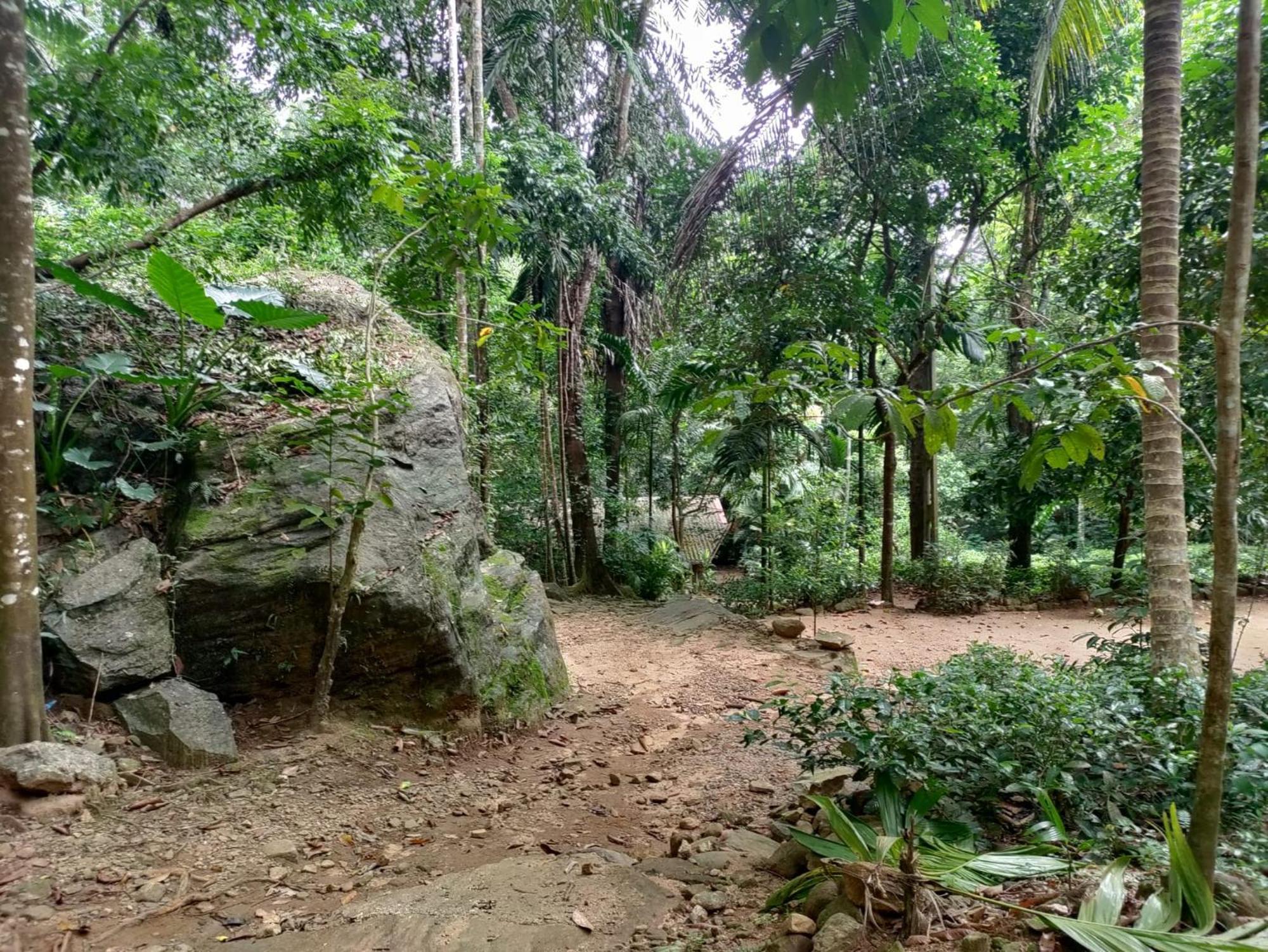 Gallene Gala Nature Resort Kitulgala Exterior photo